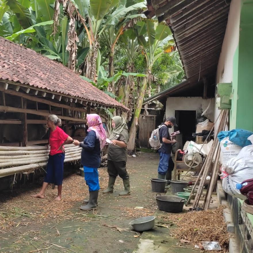 Vaksin PMK Sebagai Pencegahan Penyakit Mulut dan Kuku Pada Ternak Sapi di Kalurahan Nomporejo